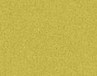 3797-201 Yellow Green